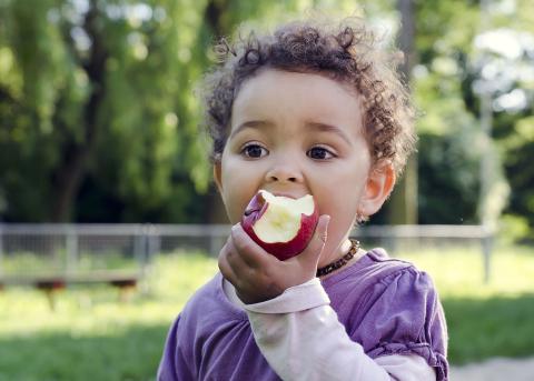 Young First Nations children in Townsville and Palm Island get a healthy start to life 
